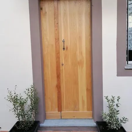 Apartament Nest Of *
