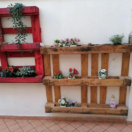 Nest Of