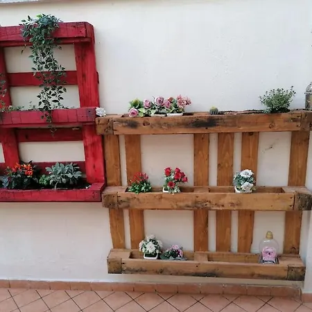 Nest Of