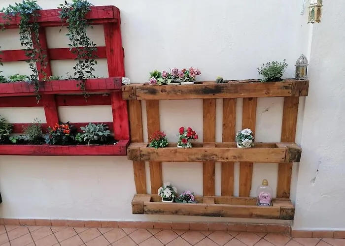 Nest Of