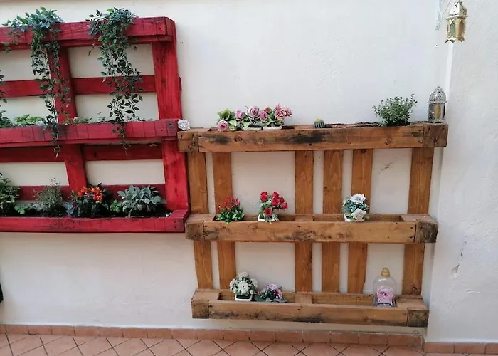 Nest Of
