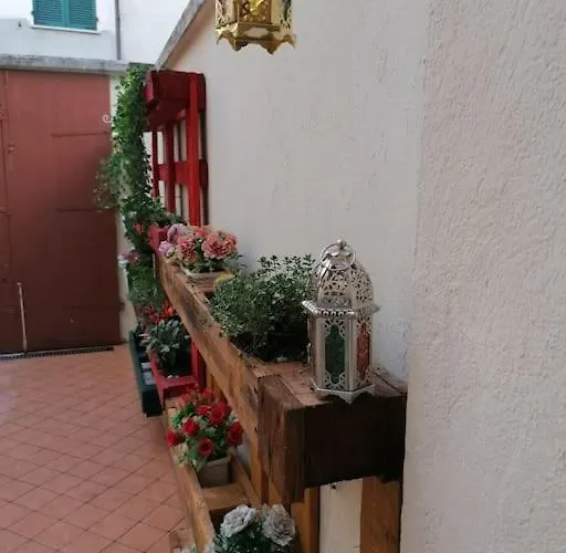 Nest Of